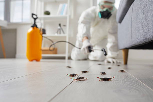 Trusted Fumigation Services service in Raceland, LA - Nex Pest Control