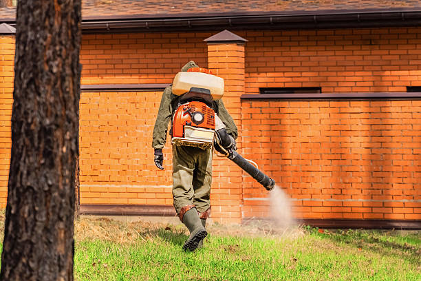 Trusted Termite Control service in Raceland, LA - Nex Pest Control